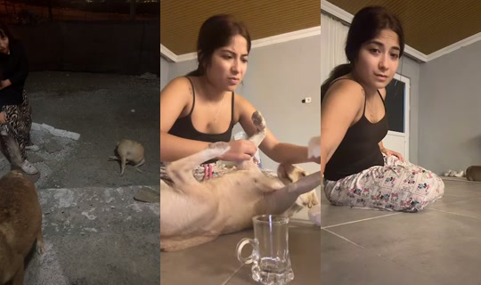 ruya_run56 TikTok Live — Aug 1, 2026, 8:40 PM