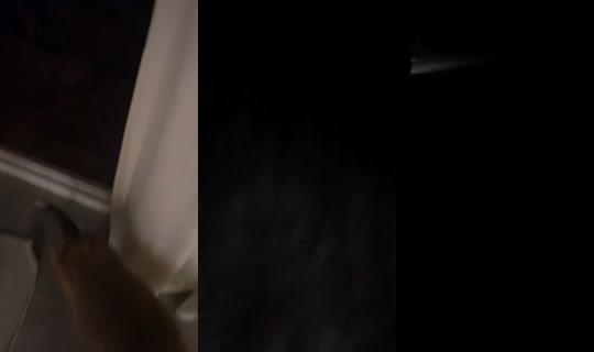 ruya_run56 TikTok Live — Aug 2, 2026, 1:44 AM