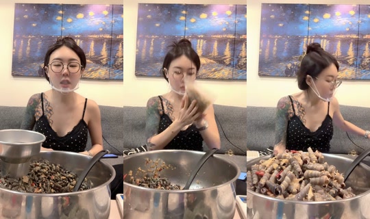 s381905 TikTok Live — Sep 8, 2026, 6:23 AM