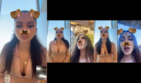 safabandzzz TikTok Live — Sep 14, 2026, 4:22 PM