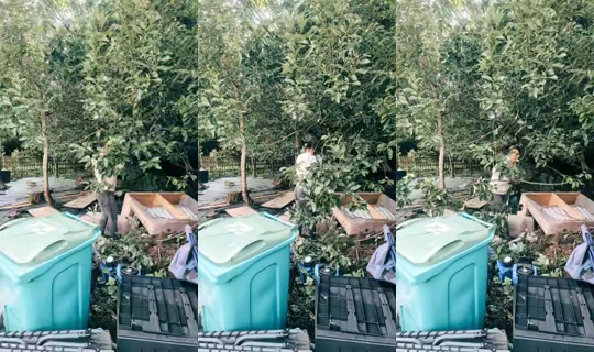 samsamxo19 TikTok Live — Aug 22, 2026, 12:36 PM