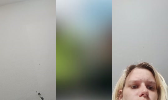 se.maus2 TikTok Live — Sep 12, 2026, 3:44 PM