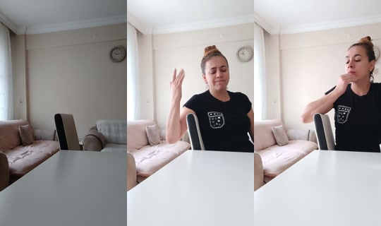 sed.a.s.u.ltannnn TikTok Live — Sep 17, 2026, 10:53 AM