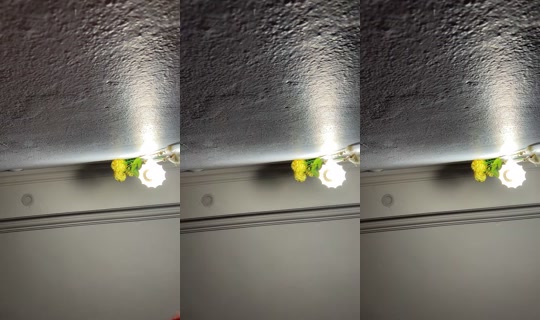 seevincbozkurtt TikTok Live — Aug 5, 2026, 2:25 AM