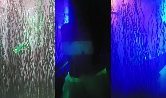 senianyxleo TikTok Live — Jul 14, 2026, 10:09 AM