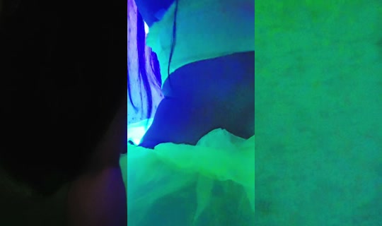 senianyxleo TikTok Live — Jul 14, 2026, 11:35 AM