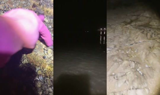 seoyoun486 TikTok Live — Sep 19, 2026, 2:59 PM