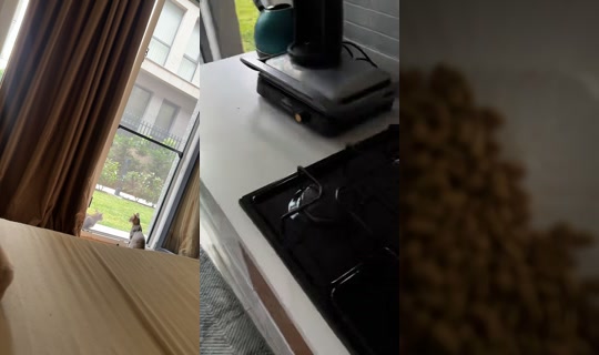 sevdaademirell TikTok Live — Aug 22, 2026, 6:17 AM