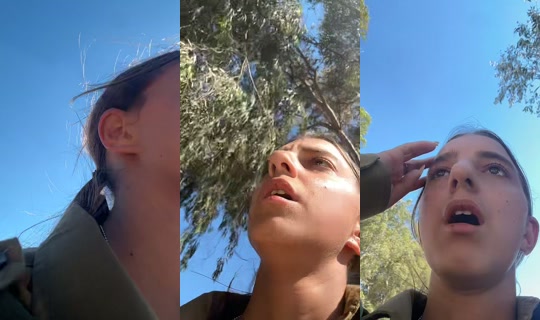 shalev884 TikTok Live — Jul 15, 2026, 1:03 PM