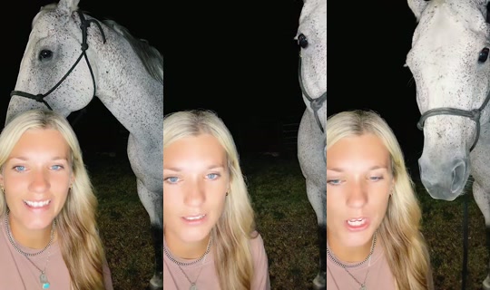 shannonk22 TikTok Live — Sep 14, 2026, 3:04 AM