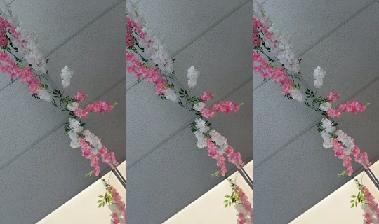 slavicmami8 TikTok Live — Aug 6, 2026, 3:21 PM