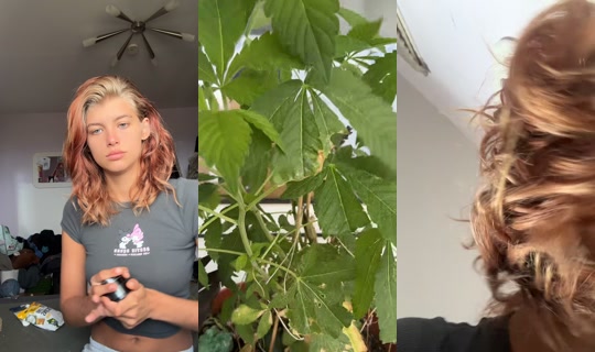 sm0ke.w33d.with.josi TikTok Live — Aug 20, 2026, 9:35 AM