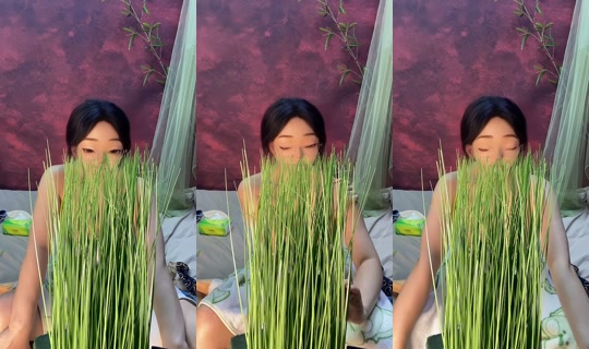 sototklae0p4 TikTok Live — Jul 10, 2026, 8:37 AM