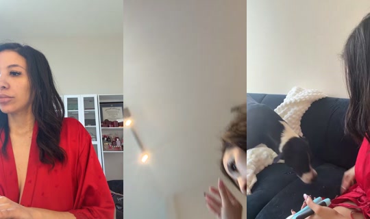 stephsaidsooo TikTok Live — Jul 15, 2026, 3:31 PM
