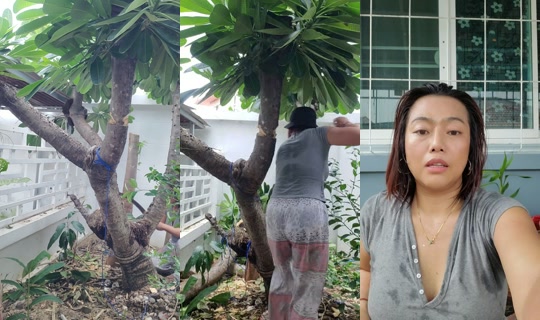 sue16442 TikTok Live — Aug 1, 2026, 7:32 AM
