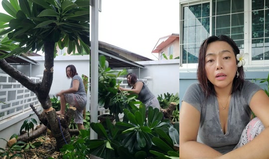 sue16442 TikTok Live — Aug 1, 2026, 8:22 AM