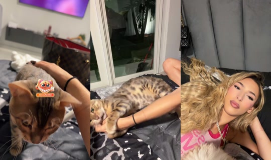 sunnychristinaaa TikTok Live — Aug 23, 2026, 12:11 AM
