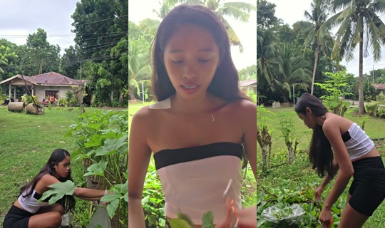 syle0911 TikTok Live — Jul 31, 2026, 8:46 AM