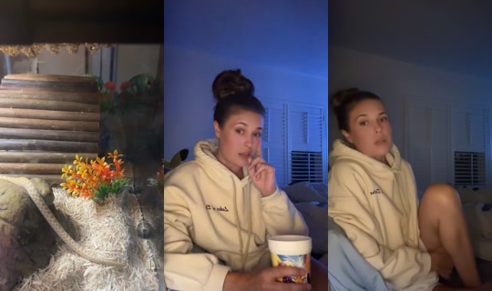 tangyyytayyy TikTok Live — Aug 2, 2026, 2:56 AM