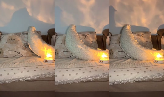 terrabear520 TikTok Live — Aug 21, 2026, 11:34 AM