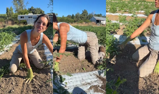 thatfarmgirllaura TikTok Live — Jul 15, 2026, 3:48 PM