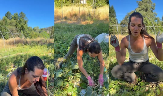 thatfarmgirllaura TikTok Live — Jul 27, 2026, 3:47 PM