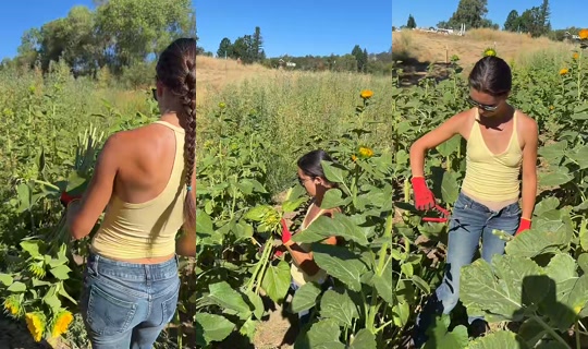 thatfarmgirllaura TikTok Live — Jul 31, 2026, 4:34 PM