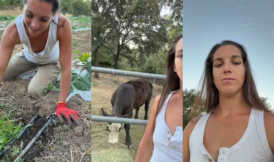 thatfarmgirllaura TikTok Live — Aug 2, 2026, 2:59 AM