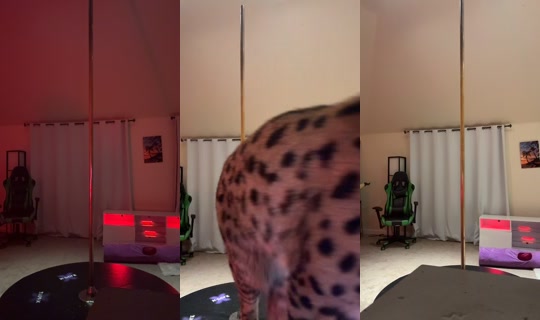 thatforeignfreakk TikTok Live — Aug 20, 2026, 5:56 AM