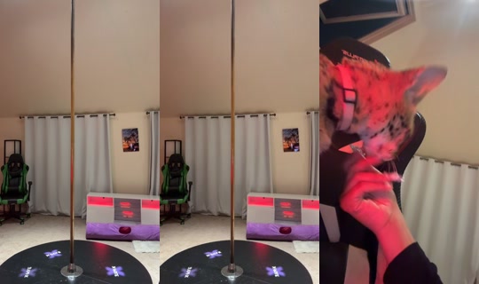 thatforeignfreakk TikTok Live — Aug 20, 2026, 6:47 AM