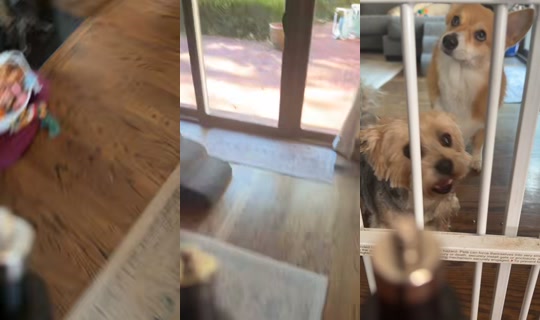 the_cartuune_network TikTok Live — Sep 4, 2026, 2:20 PM