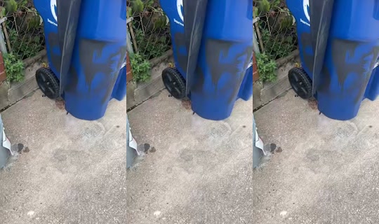 thecutegurl568 TikTok Live — Aug 22, 2026, 9:45 PM