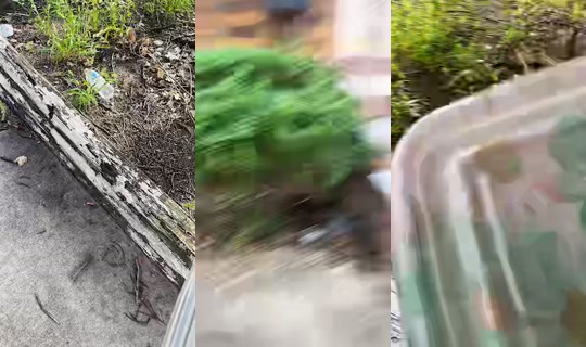 thecutegurl568 TikTok Live — Aug 22, 2026, 9:59 PM