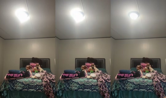 theyluvvsylviaa0 TikTok Live — Jul 14, 2026, 5:20 AM