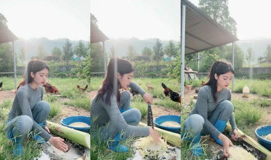 thutrang.102 TikTok Live — Jul 14, 2026, 11:58 PM