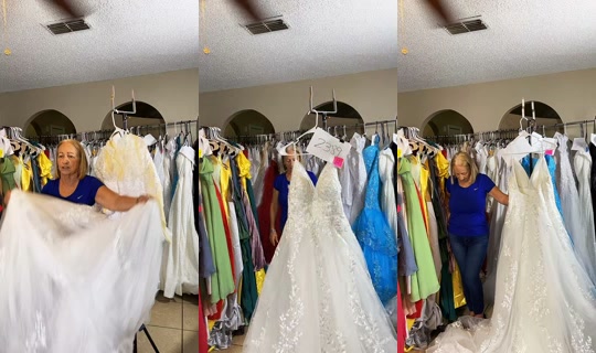 timelessdress TikTok Live — Aug 11, 2026, 8:26 PM