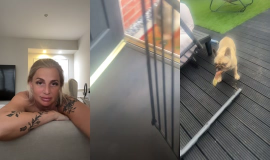 trickyvicky38 TikTok Live — Aug 13, 2026, 7:07 PM