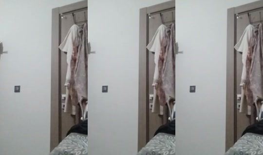 trilyonolsanharcarim TikTok Live — Sep 17, 2026, 5:44 PM