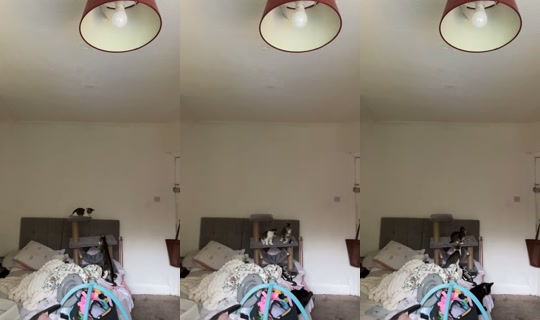 tysh022 TikTok Live — Jul 10, 2026, 7:20 AM