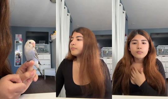 unicornsceo TikTok Live — Sep 3, 2026, 10:31 PM