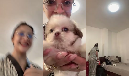 ur_sdtafuin TikTok Live — Jul 16, 2026, 12:47 AM