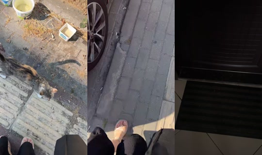 useerr341625 TikTok Live — Jul 10, 2026, 6:22 AM