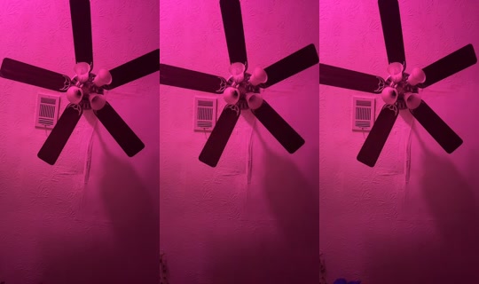 user03483503er TikTok Live — Jul 14, 2026, 1:33 AM