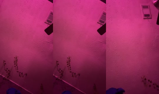 user03483503er TikTok Live — Jul 14, 2026, 2:55 AM