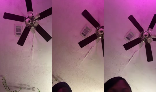 user03483503er TikTok Live — Jul 14, 2026, 3:50 AM
