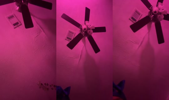 user03483503er TikTok Live — Jul 15, 2026, 3:41 AM