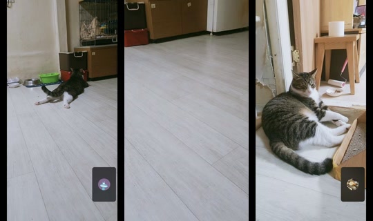 user5265993356381 TikTok Live — Aug 5, 2026, 6:36 PM