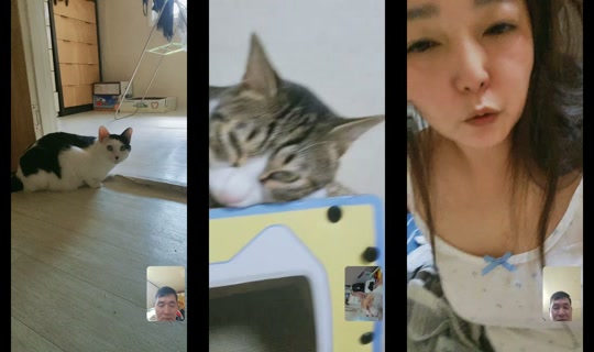 user5265993356381 TikTok Live — Aug 6, 2026, 12:34 AM