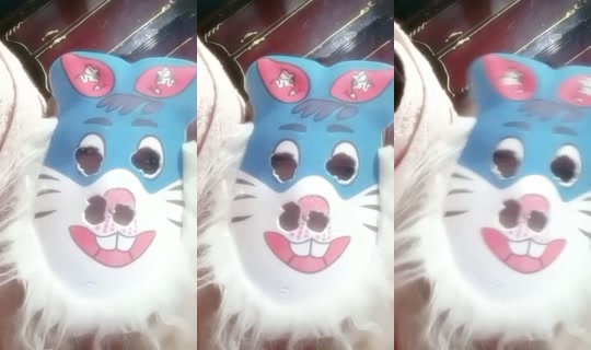 user734970494747 TikTok Live — Jul 29, 2026, 11:38 PM