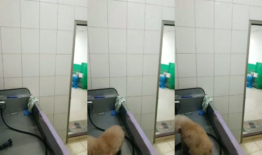 vickymichen TikTok Live — Jul 10, 2026, 5:25 AM